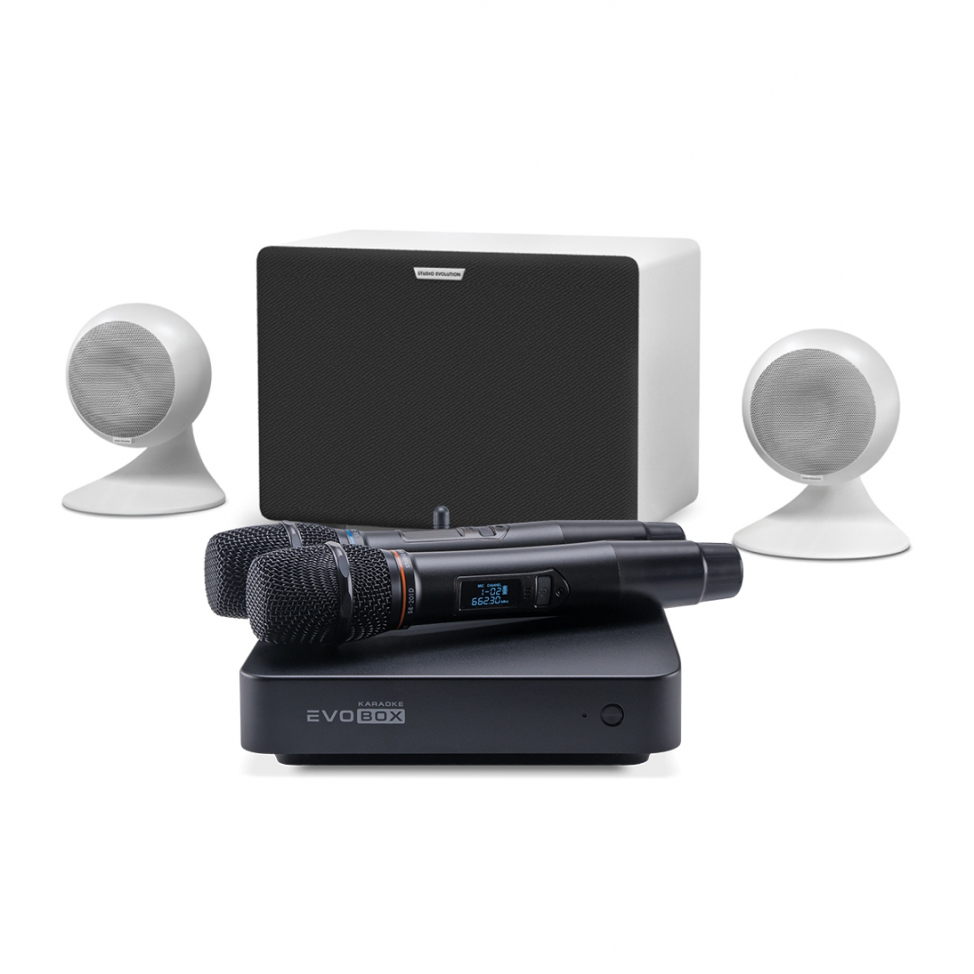 караоке-комплект EVOBOX Classic + EvoSound Sphere 2.1 в Хабаровске