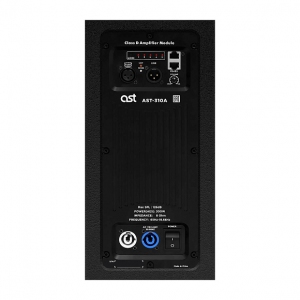 Активная акустическая система AST-310A в Хабаровске