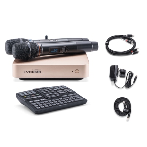 EVOBOX Classic караоке-система для дома в Хабаровске